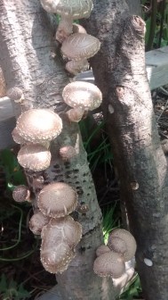 IMG_20160529_125417877